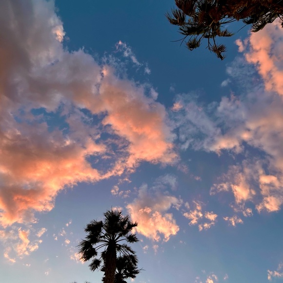 Meet your Posher, Adrianna - Picture 11 of 11